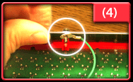 Replace screw that will hold ground lug in place.